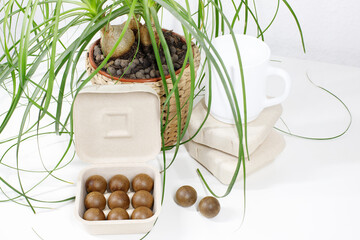 coffee setup with compostable capsules and houseplant