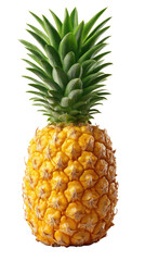 Fototapeta premium Golden Pineapple: A vibrant and detailed studio shot of a perfectly ripe pineapple, showcasing its intricate texture, freshness and tropical appeal.