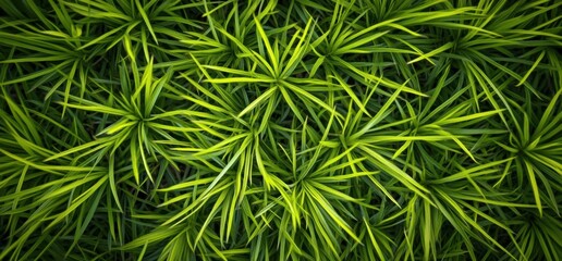 A vibrant overhead shot showcases a dense collection of bright green, slender-leaved plants, creating a lush and textured natural pattern. : Generative AI