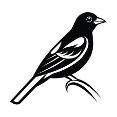 Sleek black and white illustration of a bird perched on a branch in a minimalist style design
