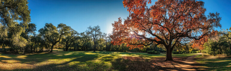 Fototapeta na wymiar Majestic oak tree with autumn foliage in a sunlit park, casting long shadows on the green grass, a peaceful autumn scene. : Generative AI