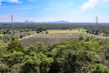 Aerial view of pineapple farms in Thailand - agricultural drone shot for eco-tourism projects