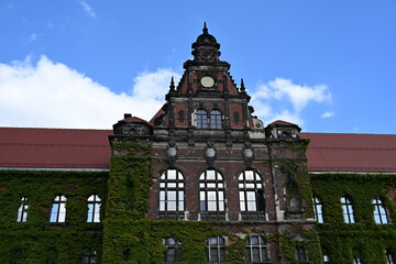 Obraz premium Budynek porośnięty bluszczem stary wrocław Muzeum narodowe zielony klasyczny zjawiskowy