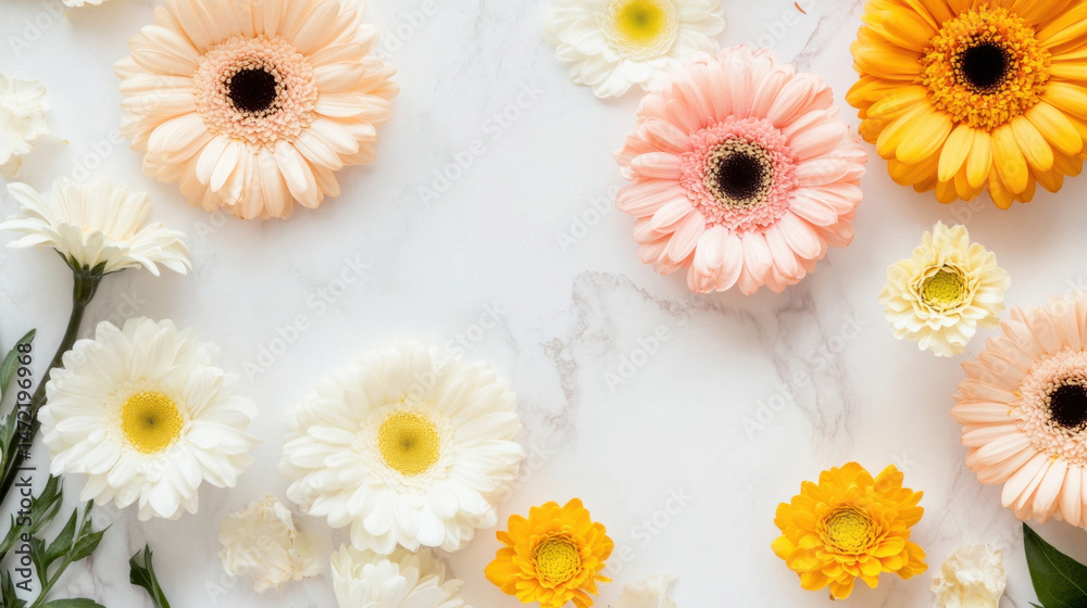 Poster pastel gerbera daisies and chrysanthemums arranged on marble surface, creating a delicate floral bor