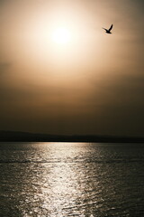 Sunset on the Yellow River in China