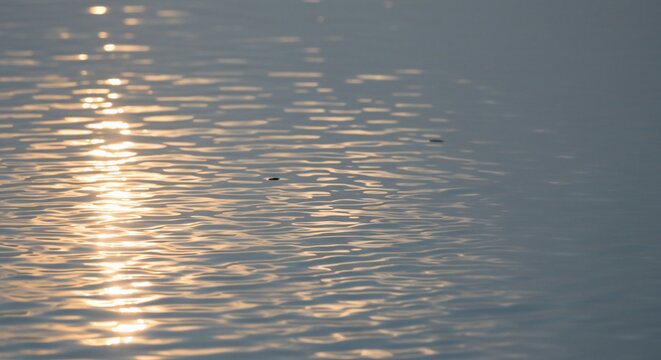 Sunlight Reflecting on Rippling Water Surface