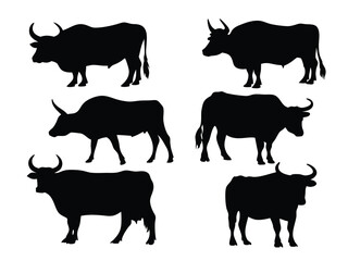 Set of vector silhouettes of cows