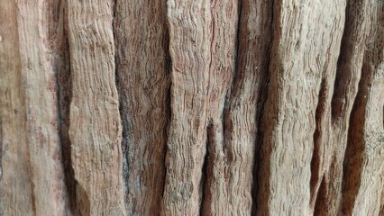 Obraz premium old wood texture