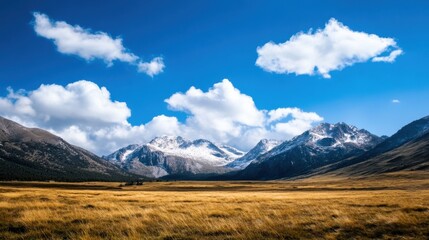 Majestic snow-capped mountains rise above a vast, golden meadow under a vibrant blue sky dotted with fluffy white clouds, creating a breathtaking landscape. : Generative AI