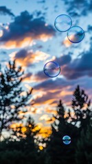 Sunset bubbles over trees
