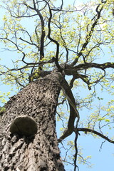 couple man and woman talking