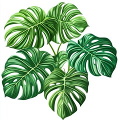 Lush tropical foliage