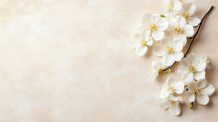 Delicate white blossoms arranged on a beige textured background, creating a serene and elegant springtime scene, perfect for wedding invitations or feminine branding. : Generative AI