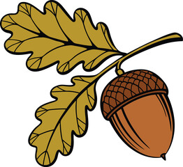acorn icon Oak nut Oak seed Oak apple Vector illustration © IshratJahan