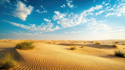 Bahrain landscape arid desert with coastal oases beautiful nature view