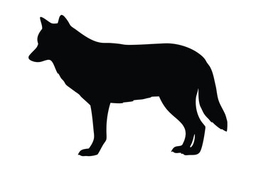 Black silhouette vector of a wolf standing on white background, minimalist vector illustration