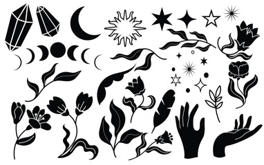 Celestial gaden, magic flower, vector illustration