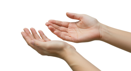Isolated Hands Offering