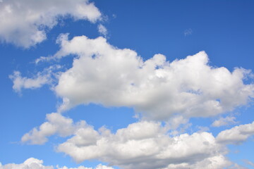 a group of white Clouds in a Blue Sky