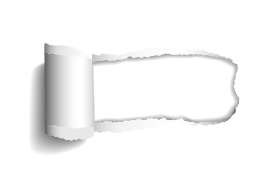 Vector realistic hole torn in paper with rolled edge and shadows on transparent background