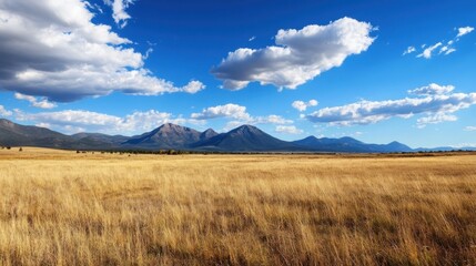 Obraz premium Golden grassland stretches towards a majestic mountain range under a vibrant blue sky, dotted with fluffy white clouds. A picturesque landscape of nature's beauty. : Generative AI