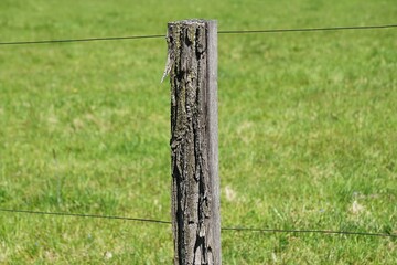 Łąka i elektryczne ogrodzenie dla krów © Adam