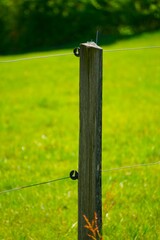 Elektryczne ogrodzenie dla krów