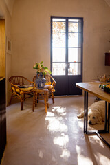 A peaceful room filled with warm light and a sleeping dog. Perfect for concepts of slow living, interior design, cozy retreats, or Mediterranean lifestyle branding