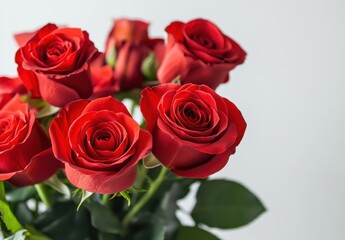 Beautiful Arrangement of Fresh Red Roses in a Decorative Vase for Valentine's Day or Love Celebration with Natural Greenery Background