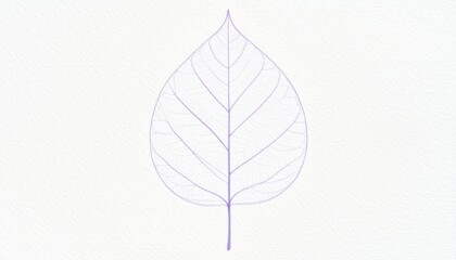 Delicate leaf illustration nature graphic design minimalist environment top-down view organic concept for artistic expression