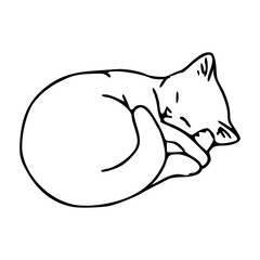 relaxing cat nap vector graphic