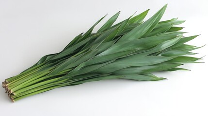 Fototapeta premium Fresh bundle of long, vibrant green leaves.