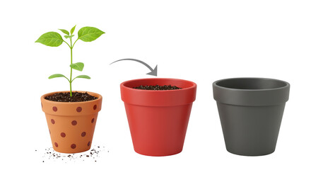 Isolated Plant Transfer Illustration