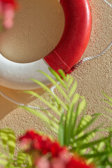 Lifebuoy & palm leaves Insurances Travel