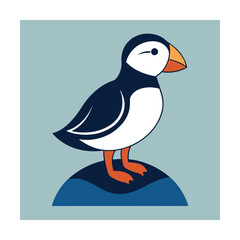Adorable illustration of a colorful atlantic puffin bird standing on a rock simple vector design