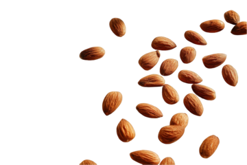 Many delicious brown almonds falling on healthy food snack ingredient recipe cooking photography studio on transparent background