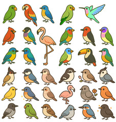 Fototapeta premium Variety of colorful and cute cartoon birds with black background