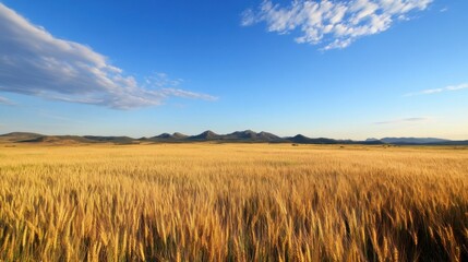 Golden wheat field stretches to distant mountains under a vibrant blue sky, showcasing a tranquil rural landscape at sunset. : Generative AI