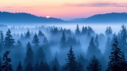 Obraz premium Countryside forest with cloudy sky covered by fire smoke during the evening. 