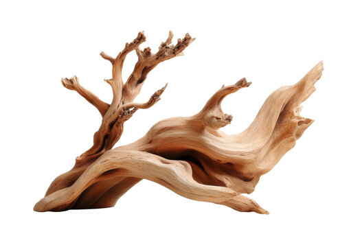[Transparent Background PNG]Intricate Driftwood Sculpture Art Piece