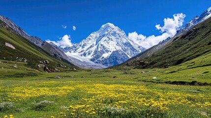 Majestic snow-capped mountain peak dominates a vibrant valley, wildflowers blooming in the foreground under a brilliant blue sky.  A breathtaking landscape. : Generative AI