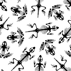 Seamless pattern. Skeletal system of animals. Black frog and lizard bone structure isolated on a white background. Amphibian and reptiles silhouettes.
