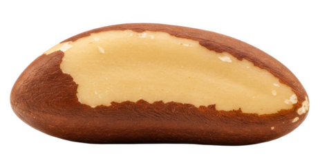 Brazil nut nutrition facts healthy food diet