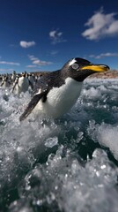 Fototapeta premium A group of penguins swimming through frothy ocean waves