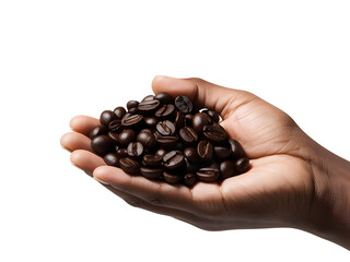 Hand Holding Fresh Roasted Coffee Beans Isolated on White Background