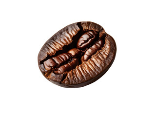 Close-Up of Freshly Roasted Coffee Bean for Premium Coffee Lovers