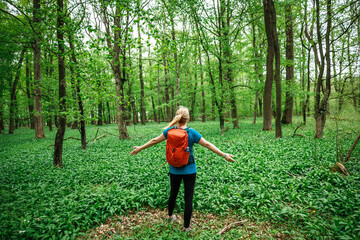 Woman embracing freedom and outdoor energy from nature. Female hiker spreading arms while hiking through wild garlic forest