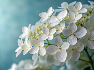 Obraz premium White flowers blooming against a blue sky background with a touch of tropical beauty ai generated