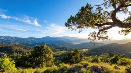 Obraz premium Majestic mountain range panorama viewed from a hilltop, showcasing a sprawling landscape bathed in the golden light of sunset, with a large tree framing the scene. : Generative AI