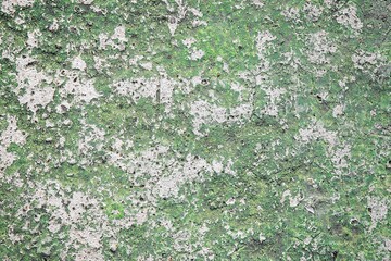 Here's a close up of a concrete texture. It's partially covered with green moss or algae, giving it a weathered and organic look.